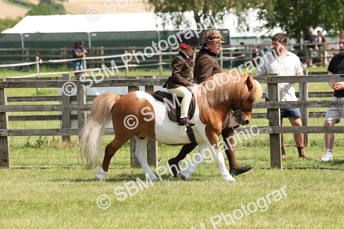 SBM_05218 - Class 24-25 - Mountain & Moorland In Hand Lead Rein and First Ridden