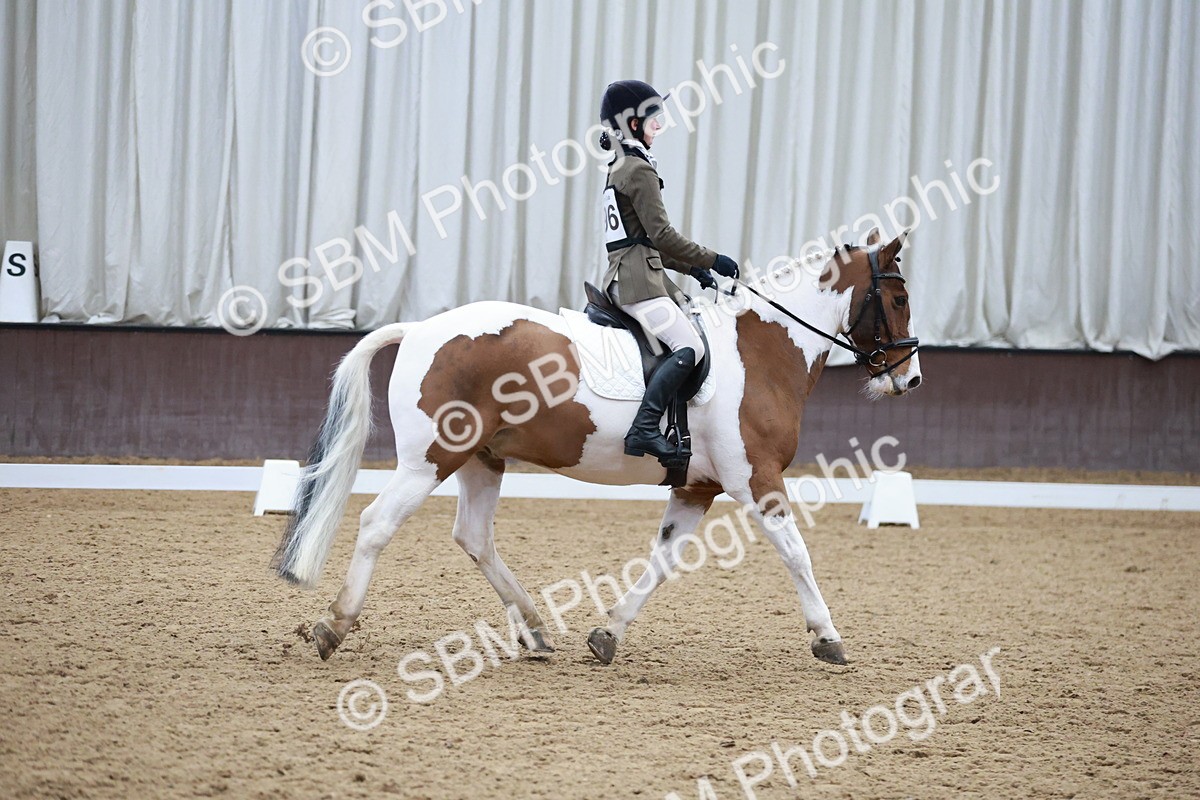 SBM_003934 - Class 2 - Novice 2020