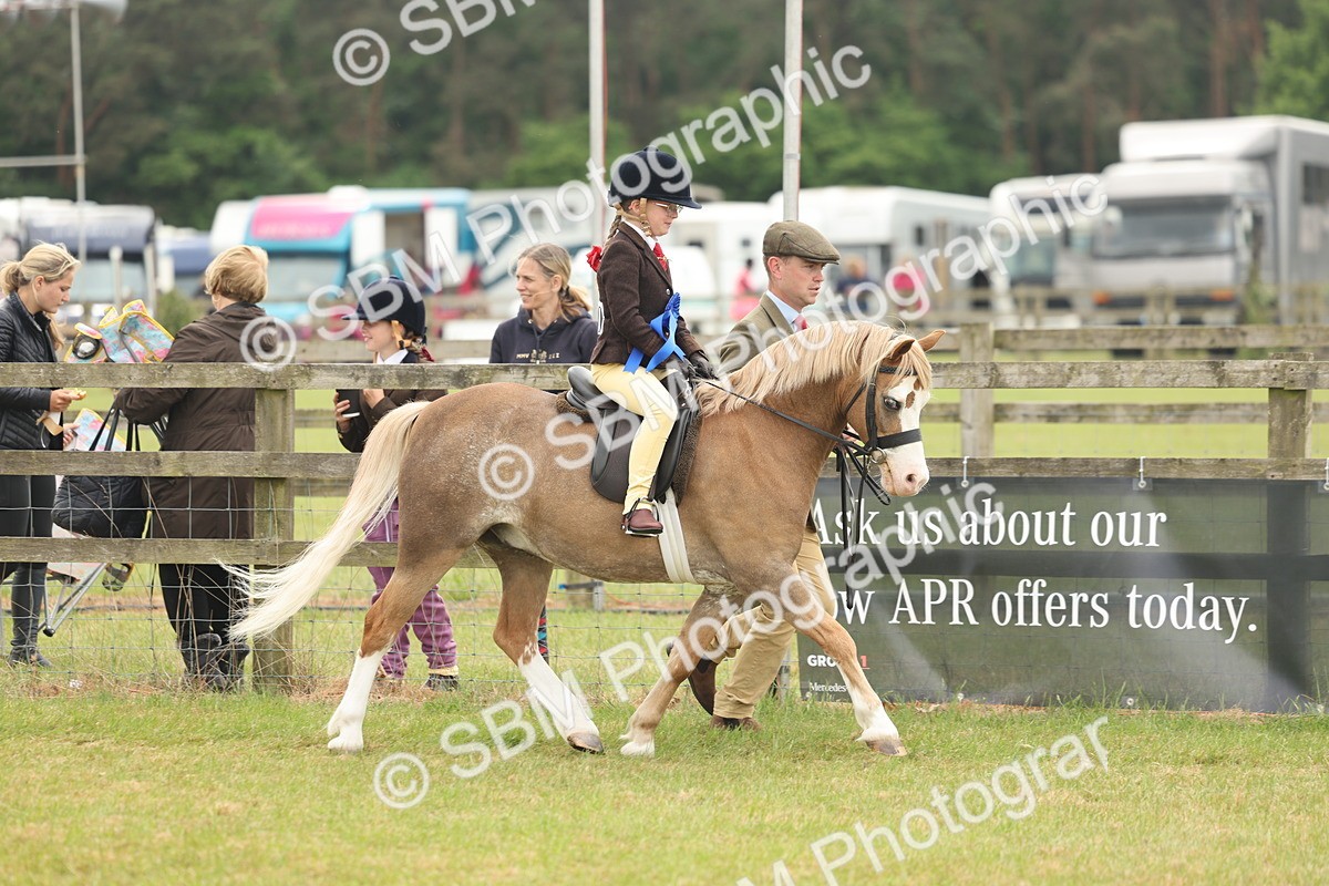SBM_06837 - Class 74-75 - M&M Lead Rein and First Ridden Pony