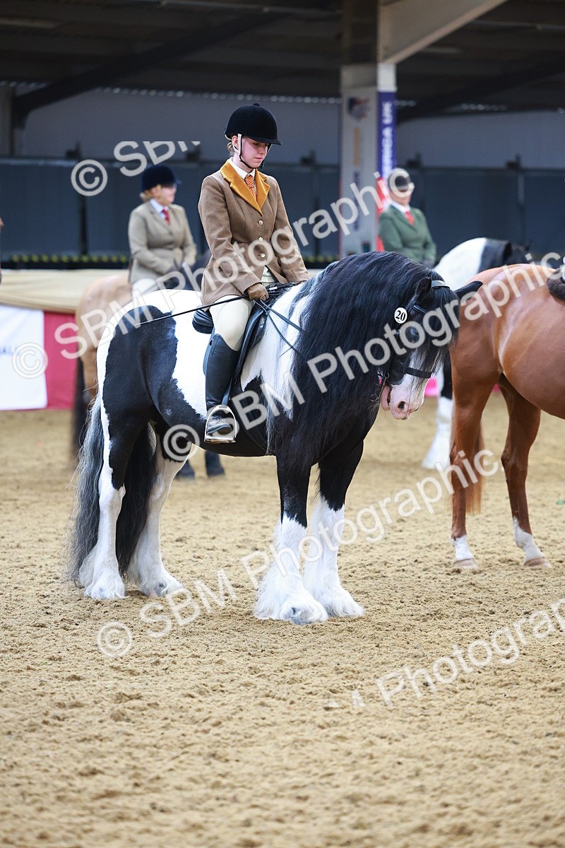 SBM_09838 - Class 102 - HOYS Veteran Qualifier - Ridden Veteran