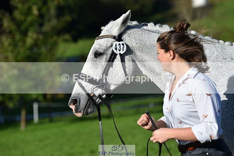 231022-110734-23743 - 437-DONBEG.GREY-Hannah.Underhill-TrotUp+SJ