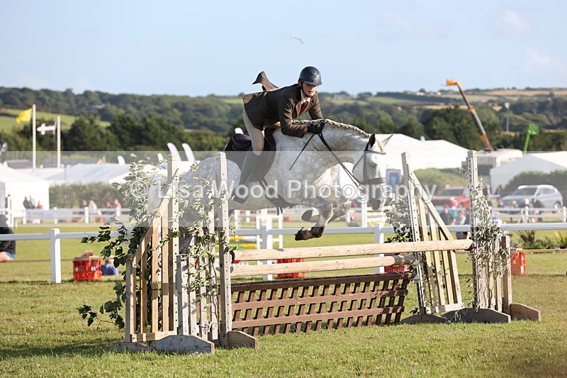 JPP_3415 - Class 22: Working Hunter 90cm