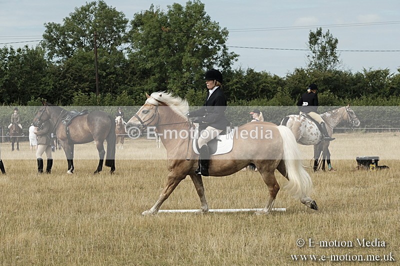 _PJP5726 - Dressage Classes BVRC Show 2018