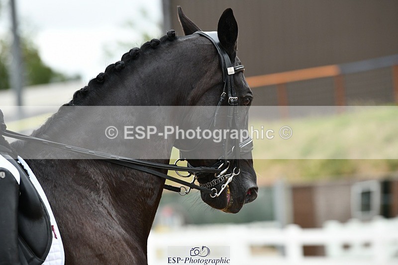 250705-162408-05521 - E1 Section BDE1 16.02 to  to 16.58