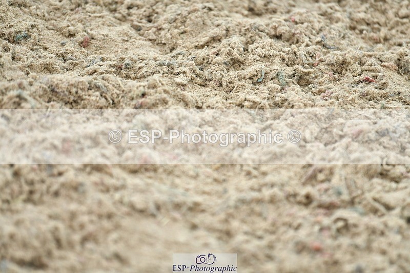 230721A-125804-06399 - Cls 14, 1 Star Bronze 1.10m