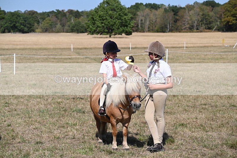 WJ6_9504 - Class 40 Cheekiest Pony/Horse