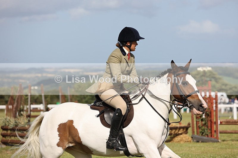 JPP_2796 - Class 20: Working Hunter 70cm