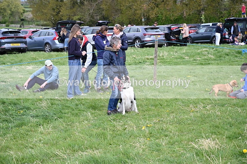 WJ6_8455 - Class 6 Best Rescue