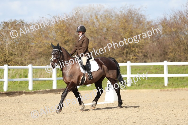 20260314-3028 - DR3 - Prelim 1