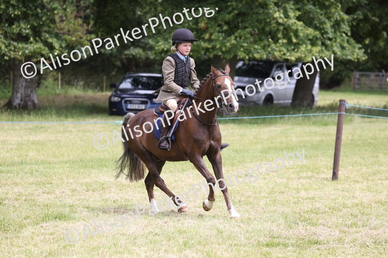 20260614-2865 - Class 22 - Open Working Hunter