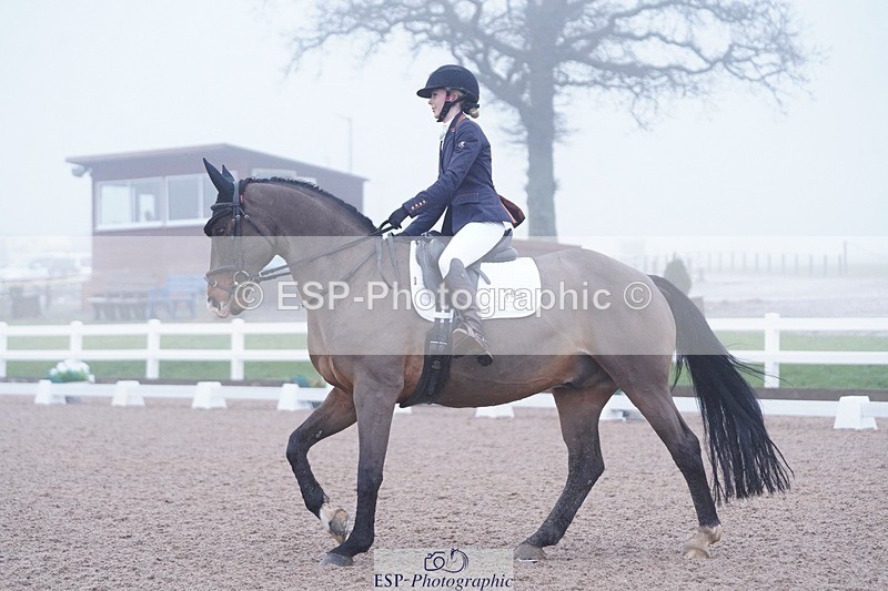 250215-103450-02824 - 143-Charlie.Cornish-Dali.Van.Het.Burghof.Z