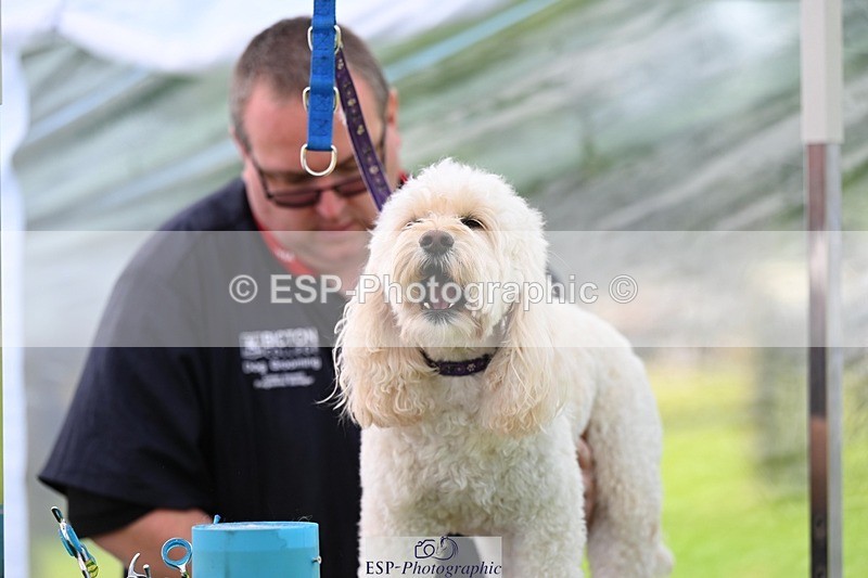 240525-114650-12614 - Candid and Saturday Hobby Horse