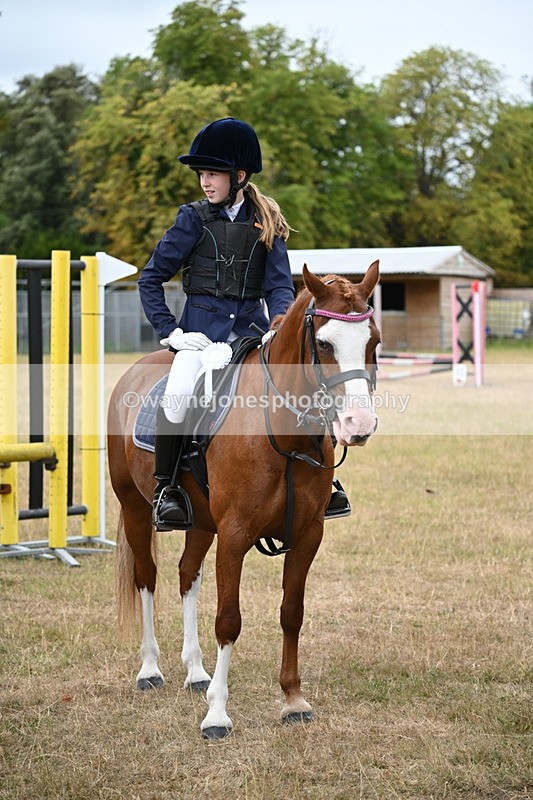 WJ6_0445 - Class 13 Novice Jumping 60cm