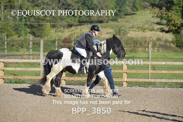 BPP_3850 - CLASS 0 Clear Round Show Jumping