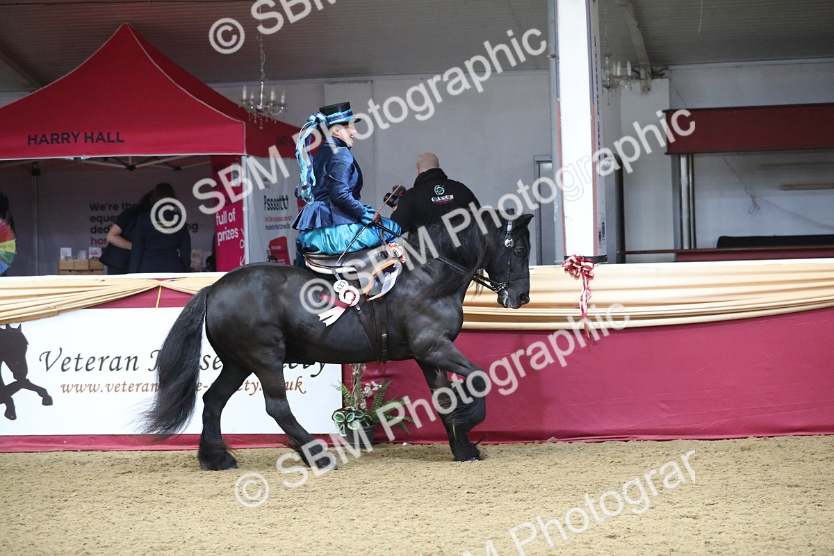 SBM_11650 - Class 105 Ridden Costume- Side Saddle