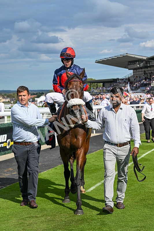 140825-Race 5-Chillhi-1576 - Race 5