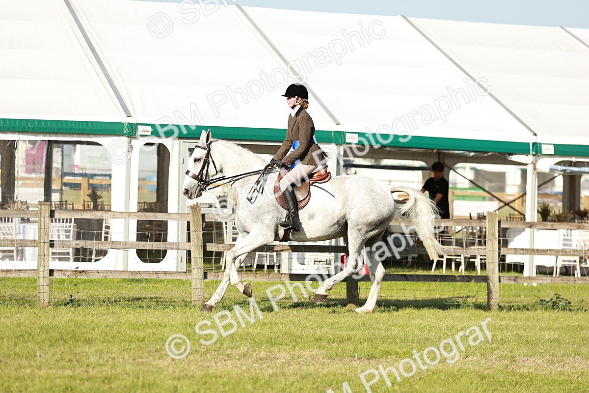 SBM_20108 - Class 115-116 - LIHS BSHA Rising Star Working Hunter & Show Horse