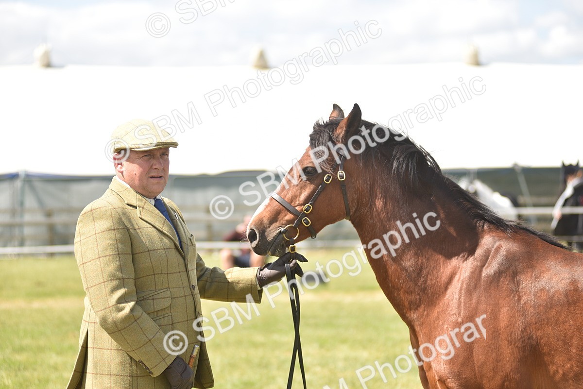 SBM_16099 - Class 117-122 - SSADL RIHS Qualifier