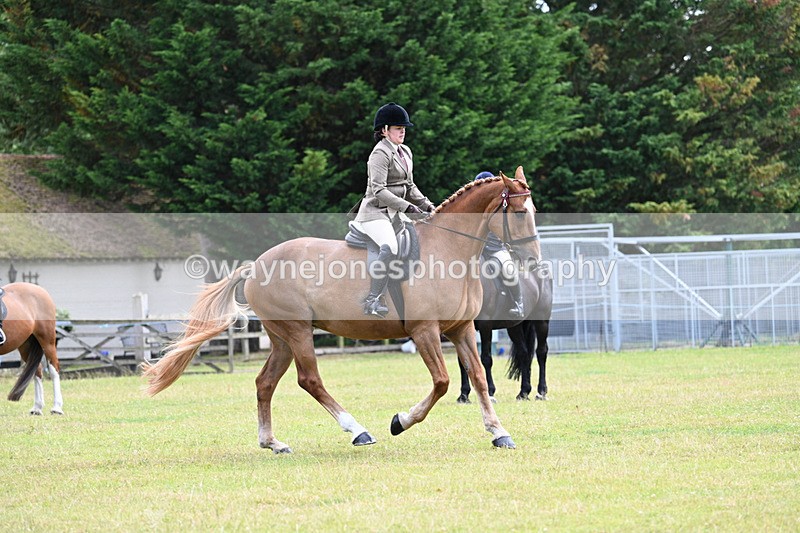 WJ7_9319 - Class 8 Ridden Veterans