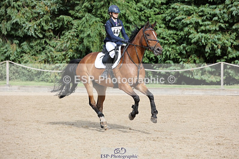 240823X-162430-19690 - 70cm Single Phase All