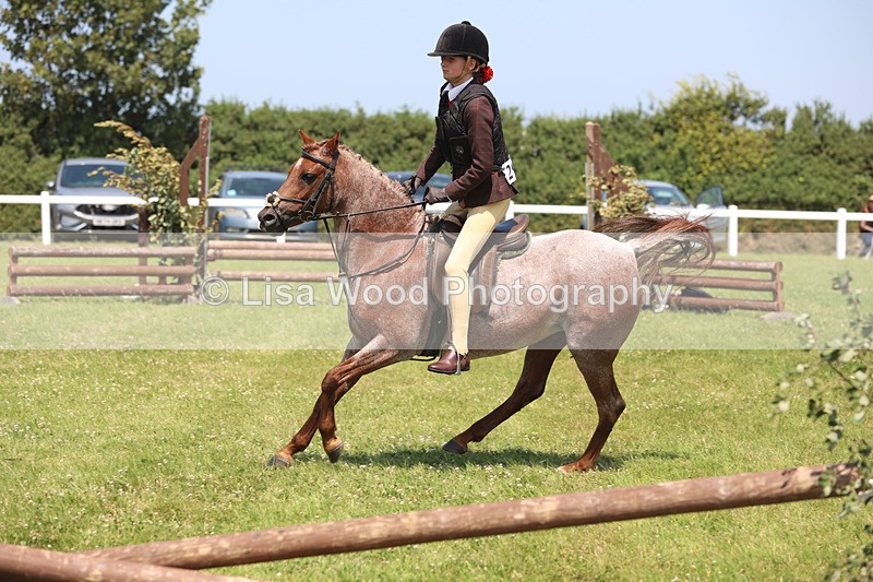 JPP_2958 - Class 22: Working Hunter 70cm
