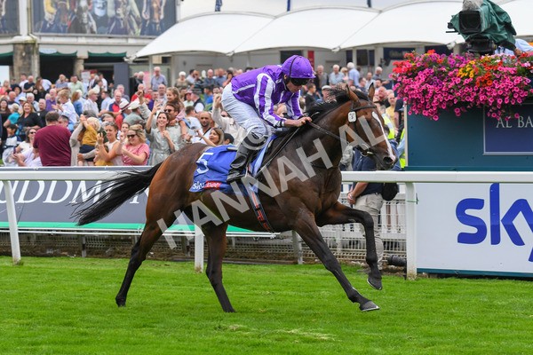 230823-Race 3-Continuous-0469 - Race 3 3.00pm Sky Bet Great Voltigeur Stakes