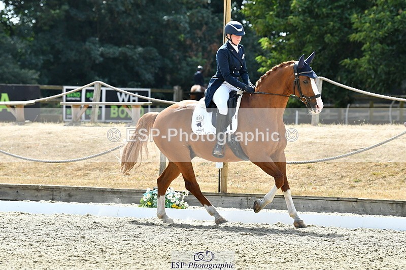 260802A-151846-07362 - Intermediate Bronze
