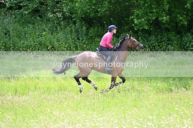 WJ7_8811 - Group 4 11am