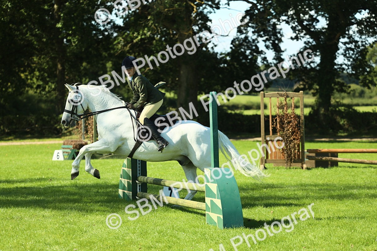 SBM_39182 - S29 - Novice & Newcomers Working Hunter Pony