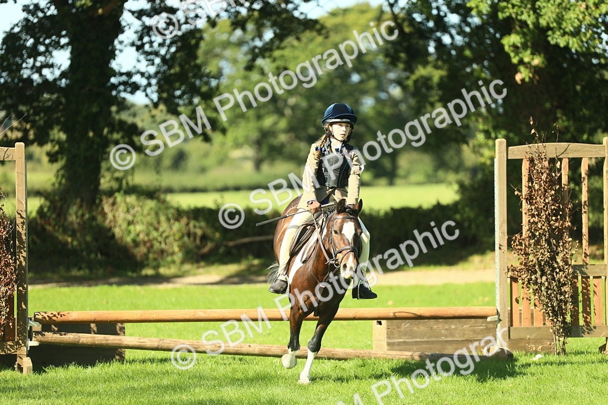 SBM_37533 - S29 - Novice & Newcomers Working Hunter Pony