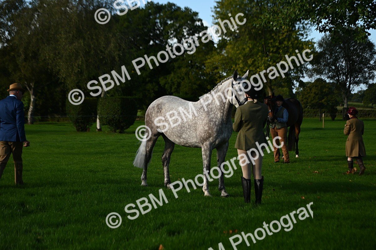 SBM_14732 - S1 - TSR in Hand Horse & Pony Showing