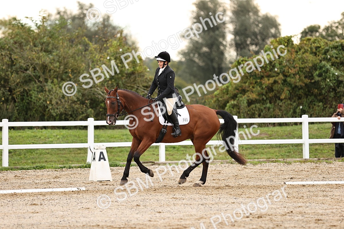SBM_000463 - Prelim 3