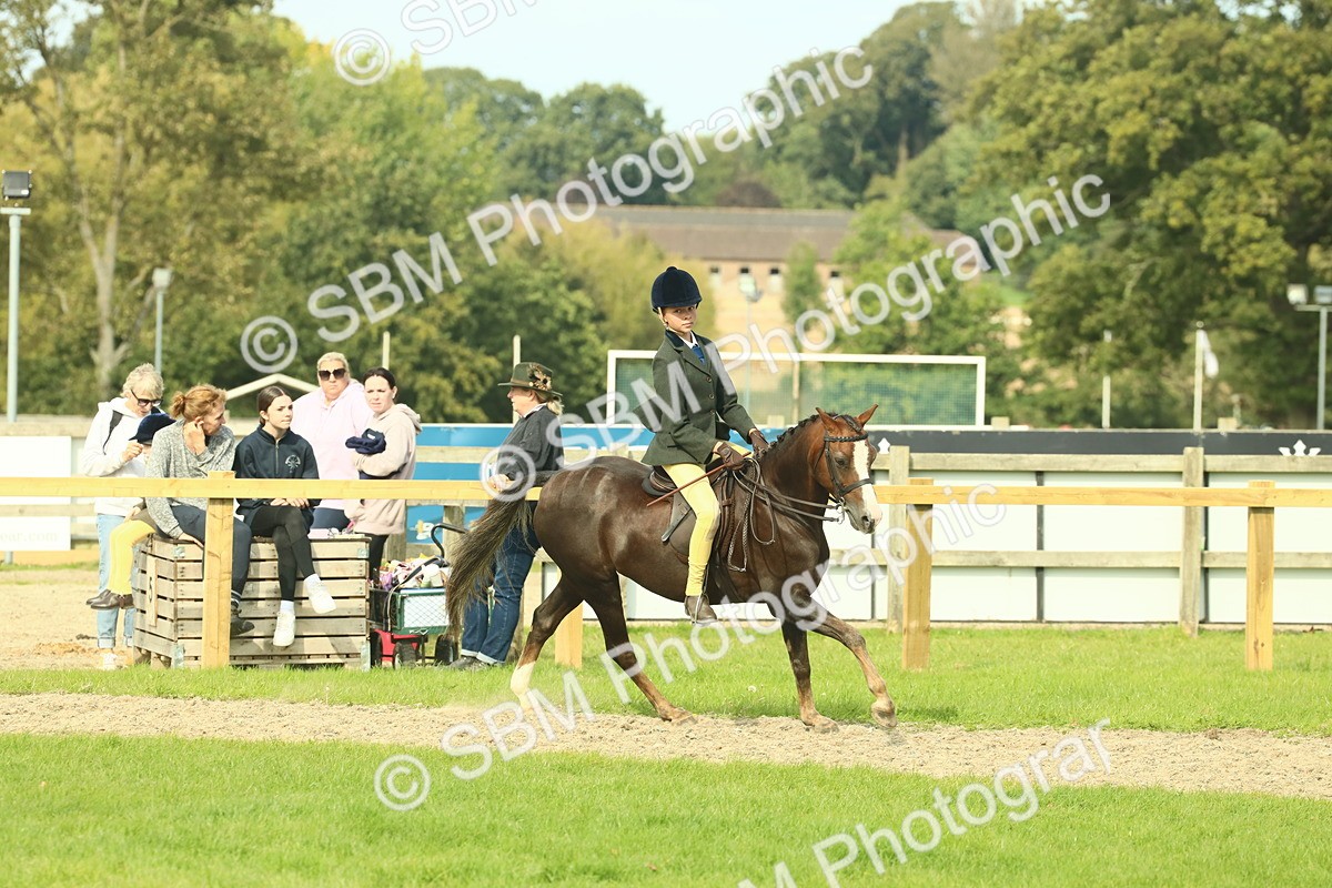 SBM_68069 - S57 - Part Bred Pony Ridden