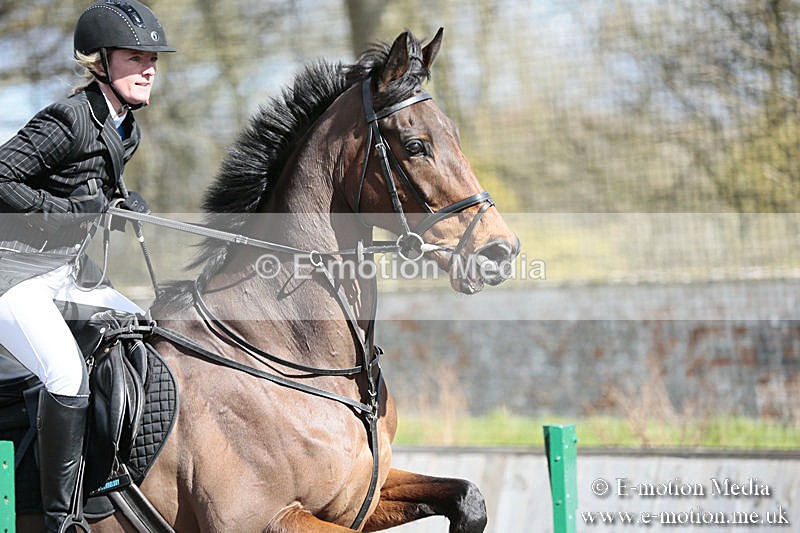 BVRC SJ 170319 405 - Bourne Valley Riding Club Showjumping 17/03/19