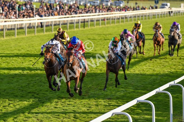 141023-Race 7-Star Ahoy-1654 - Race 7 4.45pm Coral 'Committed To Safer Gambling' Finale Handicap