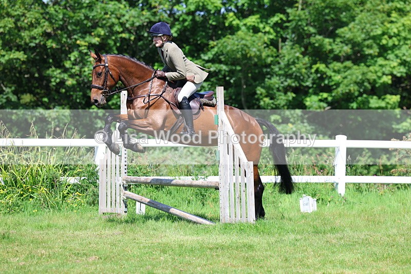 3E7A6969 - Class 30: Novice Working Hunter