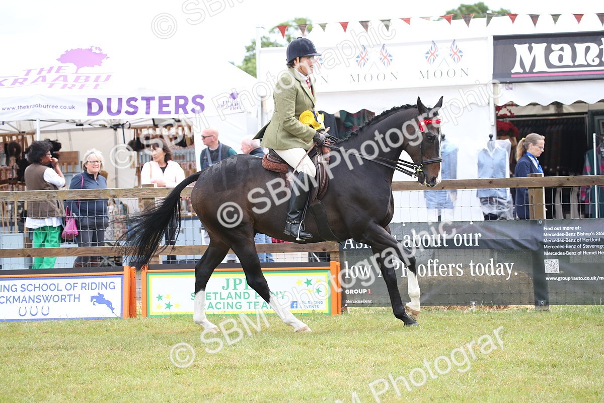 SBM_11486 - Class 94 - LIHS BSHA Racehorse to Showhorse