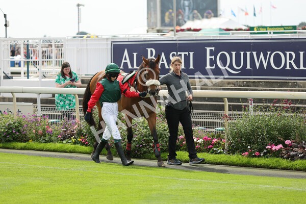 yr04092022p1-7 - 12.30pm 148cm Conditions Pony Race