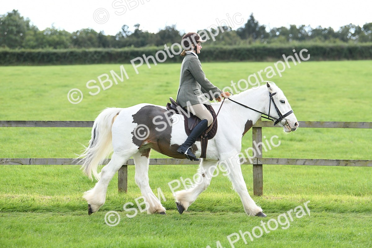 SBM_46737 - S12 - Family Horse & Pony