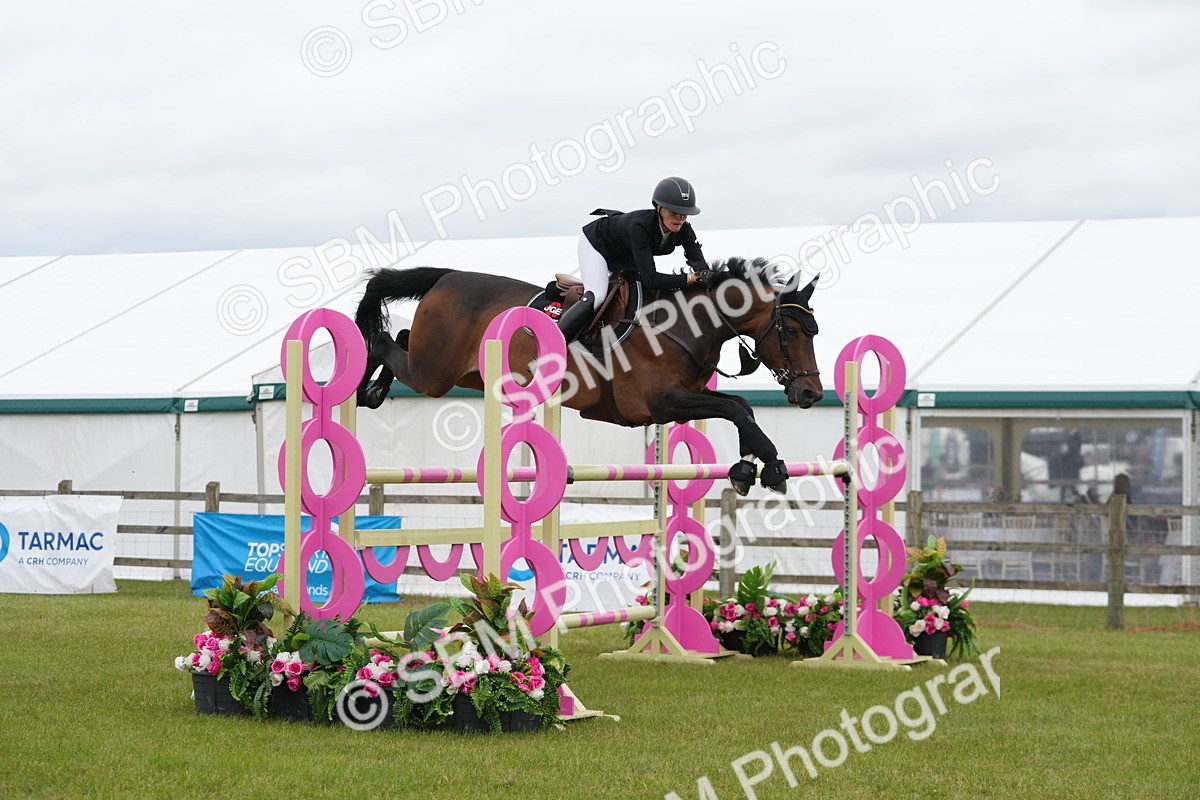 SBM_03099 - Class 201 - British Horse Feeds Speedi Beet Horse of the Year Show Grade  C