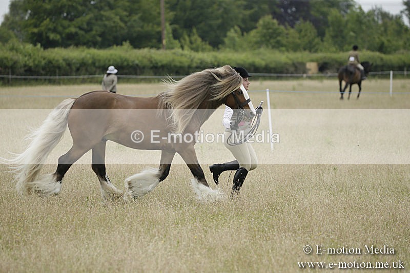 B230619-0762 - Bourne Valley Riding Club Summer Show 23/06/19