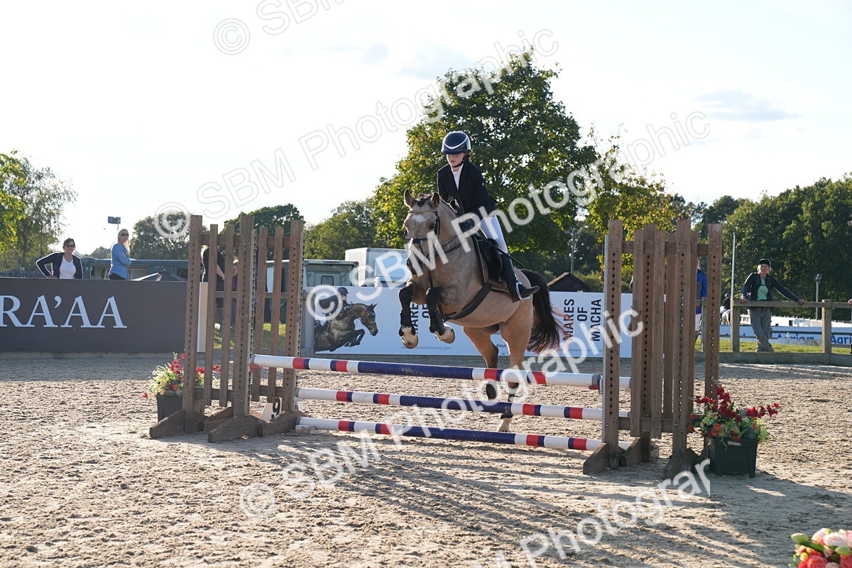 SBM_29939 - J44 - Super Speedy Scurry Open - 70cm