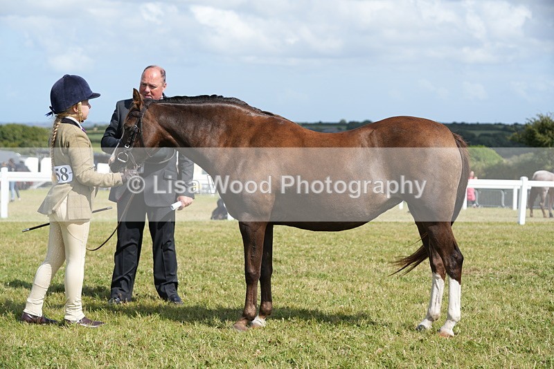 DSC07627 - Class 62: Child Handler