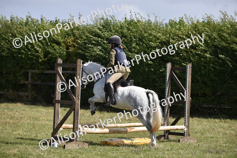 20250831-3940 - Class 11 - Working Hunter Pony 13hh and Under