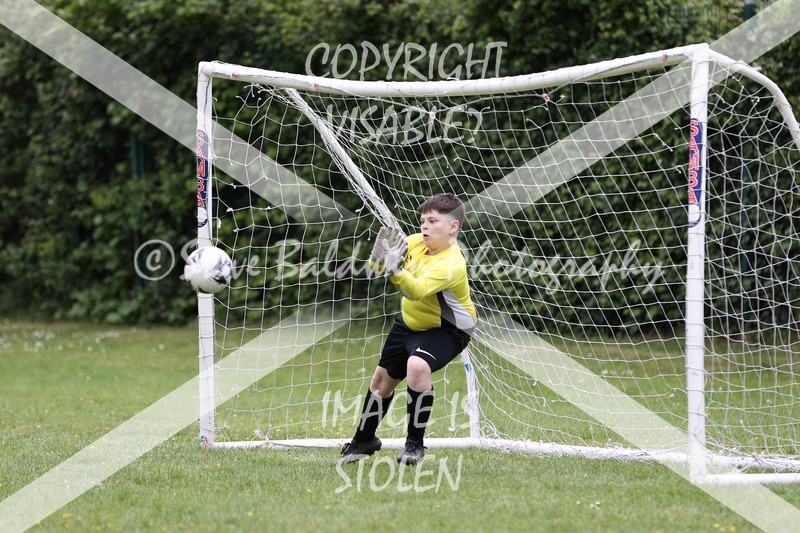 1DX31477 - Brook Field V Goddard Park