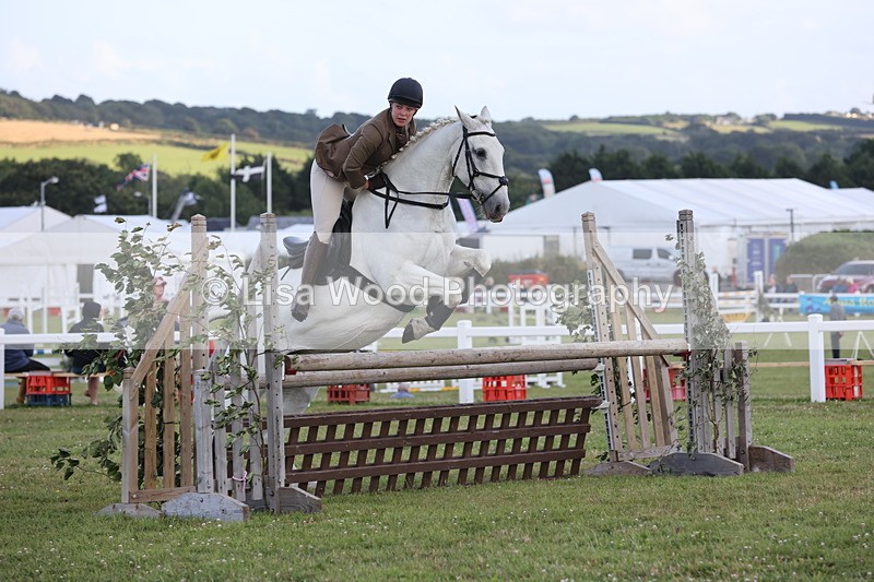 JPP_3613 - Class 24: Open Working Hunter