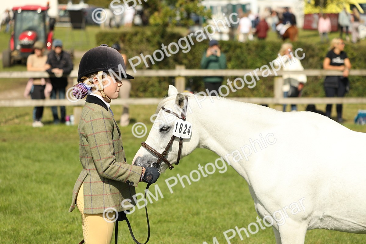 SBM_68596 - S40 - Junior Handler 9-12 Years