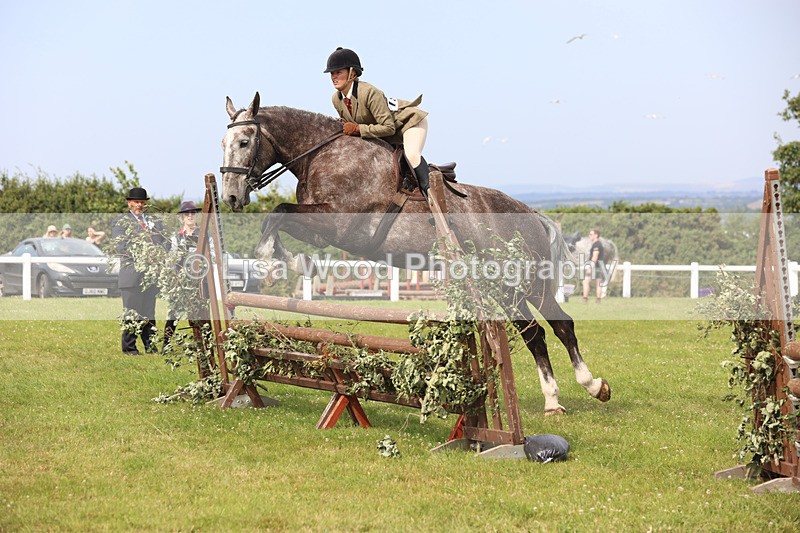 JPP_4085 - Class 24: Working Hunter 90cm