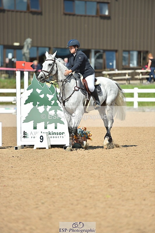 230723A-155622-13222 - Cls 16, 1 Star Bronze 1.15m