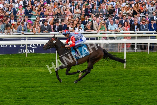 290723-Race 7-Bajan Bandit-1115 - Race 7 5.45pm Sky Bet Extra Places Every Day Handicap